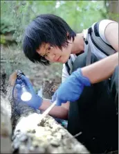  ?? PHOTOS PROVIDED TO CHINA DAILY ?? Drug developer Zhou Qingfeng examines mold on a rotten tree trunk in the mountains near Shanghai. The videos and photos she takes and posts on social media recording the evolving stages of all kinds of molds have won over her many followers.