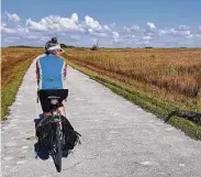  ?? Selina Kok / Washington Post ?? Sometimes gators and visitors “share the road” along the 15-mile scenic loop at Shark Valley Visitor Center.