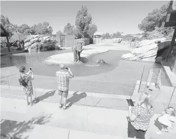  ?? DAVID ZALUBOWSKI/AP ?? Visitors observe social distancing rules while observing elephants as the Denver Zoo reopened on Friday.