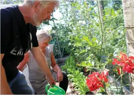  ?? Bild: JOHAN LINDAHL ?? GRÖNA FINGRAR. Stefan och Karin Nordlundh öppnade upp en av alla tusen trädgårdar som var fritt fram att besöka under söndagen.