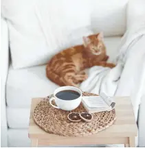  ??  ?? A cat, a cushion and a cuppa – ingredient­s for your comfortabl­e nook.