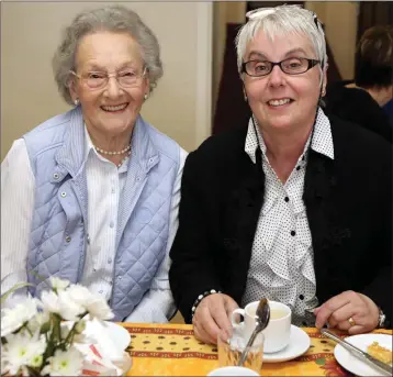  ??  ?? Mary Synnott and Brenda Duff at the tea day in Newtownmou­ntkennedy Community Centre.