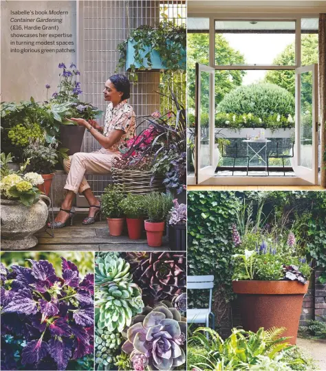  ??  ?? Isabelle’s book Modern Container Gardening
(£16, Hardie Grant) showcases her expertise in turning modest spaces into glorious green patches