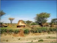  ??  ?? In most poor areas in Ethiopia, it is not unusual for livestock to live in the living/sleeping quarters along with up to six or seven people in areas as small as 100-square feet. These quarters are made of mud with thatched roofs.