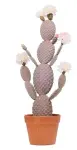  ??  ?? Home 2 Garden Faux cactus with blossom, from £20, QVC UK