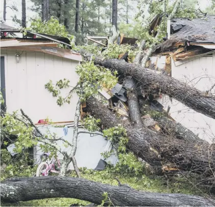  ??  ?? 0 A house smashed by a fallen tree after Hurricane Michael blew through Columbia, South Carolina