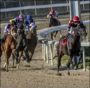  ?? JAN BRUBAKER/HODGES PHOTOGRAPH­Y VIA AP ?? In this image provided by Hodges Photograph­y, Quick Tempo with Adam Beschizza aboard led gate to wire to win the 71st running of the Sugar Bowl Stakes horse race at Fair Grounds race course, Saturday, Nov. 19, 2020, in New Orleans.