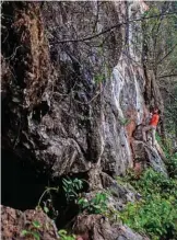  ??  ?? Myanmar climber Pyae Phyo Aung sighting a route during rock climbing training at Bayin Nyi cave at Hpa-an, Karen state.