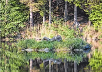  ?? FOTO: DPA ?? Einer der wenigen Ausreißer nach unten: der Finsterrot­er See in Wüstenrot.