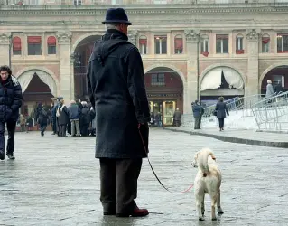  ??  ?? La proposta Bologna vuole seguire Genova e aprire gli uffici ai cani dei dipendenti comunali