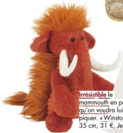  ??  ?? le mammouth en peluche qu’on voudra lui piquer. « Winston », 35 cm, 31 €,