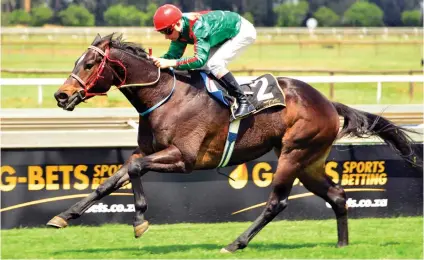  ?? Picture: JC Photograph­ics ?? CLASS COUNTS. Captain Of Tortuga is impeccably bred and is the one to beat in the Egoli Mile at the Vaal tomorrow.