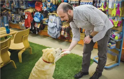  ?? (Miesha Miller/Reuters) ?? KURGO EMPLOYEE Joseph Graves plays with his dog, Maya, at the company’s showroom in Salisbury, Massachuse­tts, last month. Consumers’ increasing tendency to treat their pooches like family, along with the retail industry’s need for new products to lure...