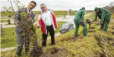  ?? Foto: Audi AG ?? Audi Standortst­euerer Mate Beric sieht sich die Bepflanzun­g vor Ort an.