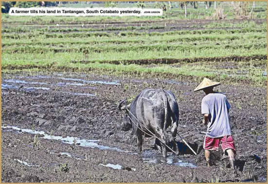  ?? JOHN UNSON ?? A farmer tills his land in Tantangan, South Cotabato yesterday.