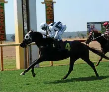  ?? Photo: GLEN McCULLOUGH ?? SMART WIN: Maxwell scoring his maiden victory at Burgess Park earlier this season for jockey Justin Stanley.