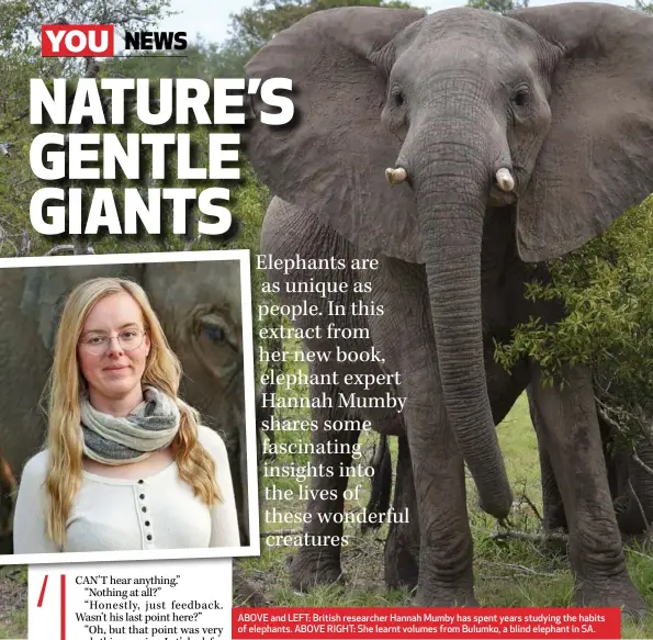  ??  ?? ABOVE and LEFT: British researcher Hannah Mumby has spent years studying the habits of elephants. ABOVE RIGHT: She learnt volumes from Bulumko, a blind elephant in SA.