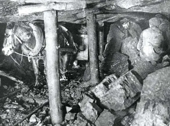  ??  ?? A pit pony waits patiently as boy miners fill a hopper with coal at a mine at Glace Bay, Nova Scotia, in 1905.