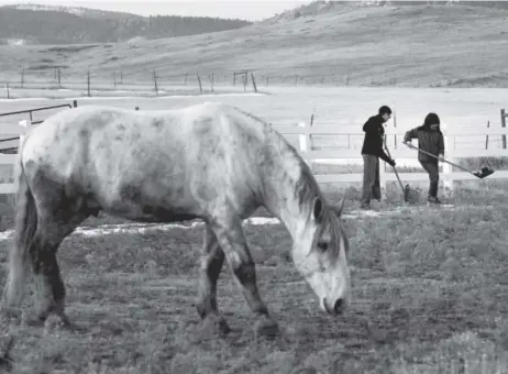  ??  ?? Jared Siegel, 17, mucks a paddock with his mother, Lisa Siegel, 51, at Zuma’s Rescue Ranch in Littleton. The Siegels and other volunteers were part of Sunday’s Mitzvah Project on Christmas Day. Andy Colwell, Special The Denver Post