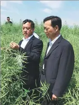  ??  ?? Shen (left) shows visiting experts around the farm in May.