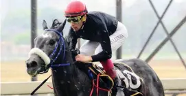  ?? Picture: JC Photograph­ic ?? BRIGHT SPOT: Isle De France and jockey Gavin Lerena scorch to an impressive victory at a rainy Turffontei­n on Saturday, providing racing fans with a memorable moment on an otherwise dismal day. See Page 8.