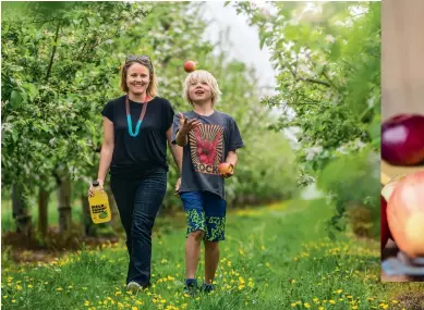  ??  ?? Sarah and son Nathan in one of their supplier’s orchards. Forecast Cider was named so Sarah and Brian could “have fun” with quirky weather names, for example, ‘ Fine about the Ranges’ and ‘Gusty in Exposed Places’.