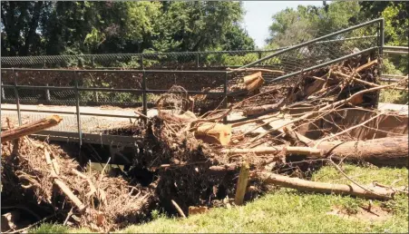  ?? EVAN BRANDT — MEDIANEWS GROUP ?? Entire trees, roots and all, that were swept down Manatawny Creek in Thursday’s flood slammed into the pedestrian bridge in Memorial Park and were held there by the force of the water, acting as a drag that added force the water’s pressure on the bridge.