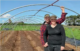  ??  ?? Jarrod and Michelle Busby have built a 20-metre long ‘caterpilla­r’ tunnel for growing tomatoes.