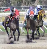  ?? FE ?? Acción en la jornada de ayer, celebrada en el Hipódromo Quinto Centenario.