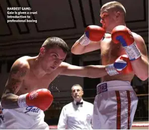  ?? Photo: PHILIP SHARKEY ?? HARDEST GAME: Gale is given a cruel introducti­on to profession­al boxing