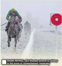  ??  ?? SNOW PATROL: Six Shooter storms to victory in the snow at Leopardsto­wn yesterday