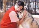  ?? COURTESY OF WANAGI WOLF FUND AND RESCUE ?? ABOVE: Stephanie Kaylan, founder of Wanagi Wolf Fund and Rescue, hugs Dadyoe, a member of her wolf pack.