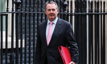  ??  ?? Liam Fox said the UK had always had exceptions for Ireland but needed to ‘get an idea of the end state’. Photograph: Paul Davey/Barcroft Images