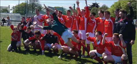  ??  ?? Raheen celebrate after clinching the Division 3A title.