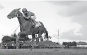  ?? /COURTESY ?? Gunnevera, with Javier Castellano riding, won the Fountain of Youth by more than 5 3/4 lengths on Saturday.