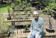  ??  ?? Bob Dietz sits in his yard among his bonsai.