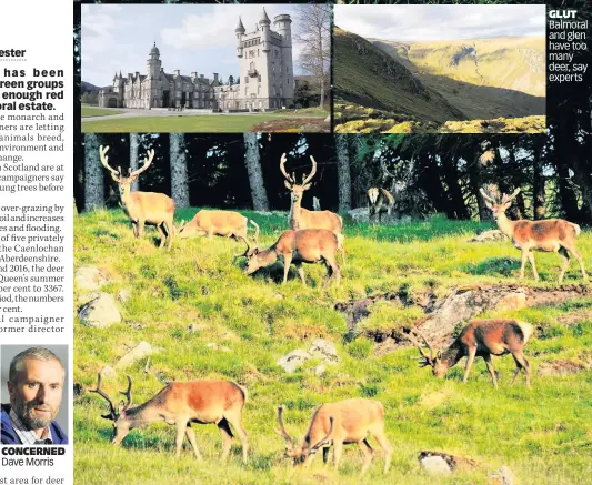  ?? CONCERNED Dave Morris ?? GLUT Balmoral and glen have too many deer, say experts