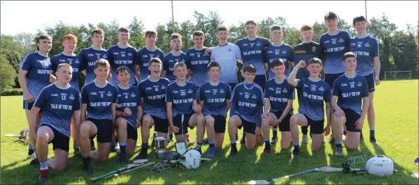  ??  ?? The Michael Dwyers Minor hurlers after their ‘B’ final victory over Carnew Emmets in Annacurra last Sunday morning.