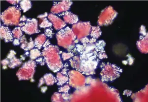  ??  ?? BELOW Microplast­ic particles are tiny, with some of them only becoming visible under a microscope