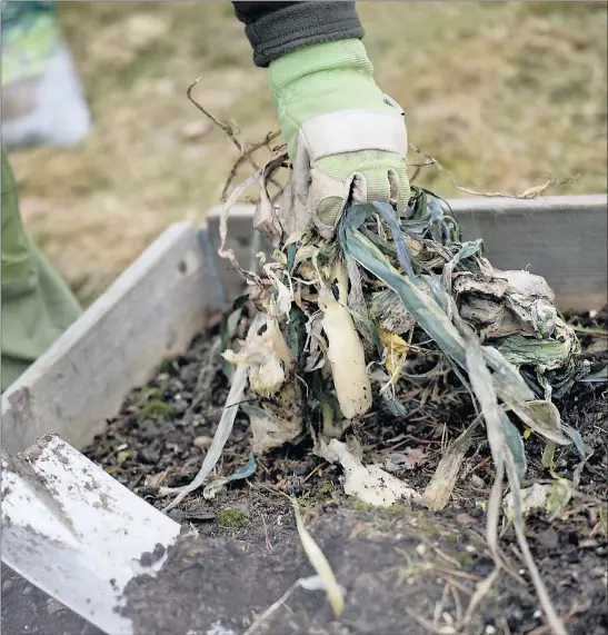  ?? FOTO: NTB SCANPX ?? Ingenting varer evig, men det er rart at det å produsere mat har fått så lav status i dag. Dersom en er glad i naturen, vil en også ta vare på den, skriver Inger Juvastøl.