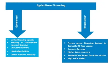  ??  ?? According to the 2020 Pre-Budget Strategy Paper sustainabl­e agricultur­e financing that promotes higher private sector participat ion should be a priority, learning from the success story of tobacco contract farming arrangemen­ts which have recorded more than 95percent recovery rate.