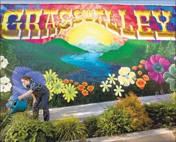  ?? Photograph­s by Mel Melcon Los Angeles Times ?? ELIZABETH POSTON, owner of Living Outdoors Landscapes, waters plants on Main Street in Grass Valley. Though it has seen no new cases since April, Nevada County has taken a hard economic hit from COVID-19.