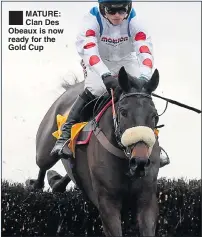  ??  ?? MATURE: Clan Des Obeaux is now ready for the Gold Cup