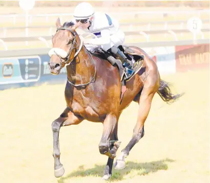  ?? Picture: JC Photograph­ics ?? BANKER. D’ Arivee comes from the in-form stable of Candice Dawson and should be a banker in all bets when he runs in Race 7 at Turffontei­n tomorrow.