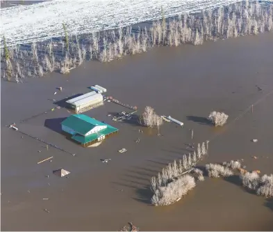  ?? GREG HALINDA / THE CANADIAN PRESS ?? A flooded greenhouse and retail building in the Draper Road subdivisio­n of Fort McMurray, Alta., is shown Tuesday.