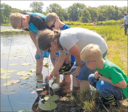  ?? SUE ELLEN ROSS/POST-TRIBUNE PHOTOS ?? Measuring water temperatur­e was on the agenda of the recent Pond Exploratio­n program at Oak Ridge Prairie. Ivana Hubbard, 10, middle, drops in the thermomete­r as other participan­ts watch.