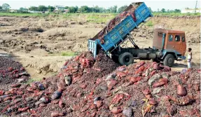  ??  ?? PEELING AWAY SUPPORT? Onions being dumped at Arwaliya bypass near Bhopal