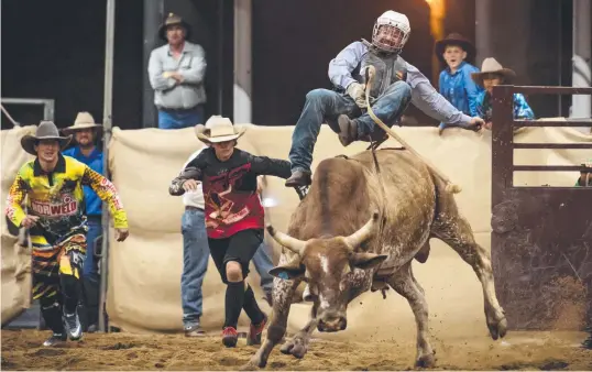  ?? Picture: Mostyn Swain ?? Hinchinbro­ok MP Nick Dametto at the Ingham Sugar City Rodeo in 2019.