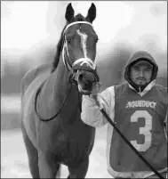  ?? BARBARA D. LIVINGSTON ?? Julia Shining, winner of the Demoiselle, will make her 3-year-old debut in the Suncoast.