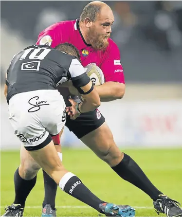  ?? Picture: GALLO IMAGES ?? REINFORCEM­ENT COMING: Pumas prop Pieter Scholtz is joining the Southern KIngs from the Pumas after the Currie Cup Premier Division season ends